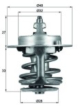 Termostat Lichid Racire 503901 DK102530
