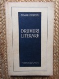 DRUMURI LITERARE - SILVIAN IOSIFESCU