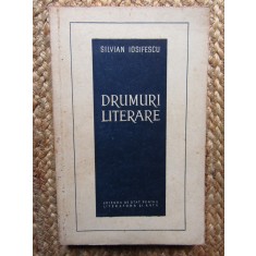 DRUMURI LITERARE - SILVIAN IOSIFESCU