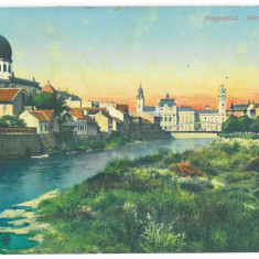 4714 - ORADEA, SYNAGOGUE, Romania - old postcard - unused