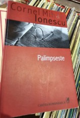 Palimpseste - Cornel Mihai Ionescu foto