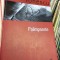 Palimpseste - Cornel Mihai Ionescu