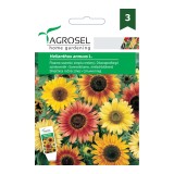 Seminte flori Agrosel, floarea-soarelui decorativa