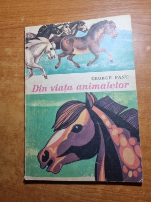 carte pentru copii - din viata animalelor - din anul 1972 foto