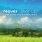 Never Give Up!: The Message of Hebrews