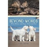Beyond Words
