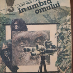 In umbra omului Jane Van Lawick-Goodall 1985