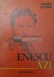 Cumpara ieftin Enescu azi. Premise la redimensionarea personalitatii si operei - 1981 - Viorel Cosma ($S156)