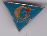 INSIGNA PIONIER Cutezatorii, Romania de la 1950