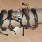 lot 5 bratari - diverse modele - 25 lei toate -