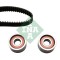 INA 530 0112 10 Set curea de distributie