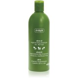 Ziaja Olive Oil sampon pentru regenerare pentru par uscat 400 ml