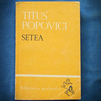 SETEA - TITUS POPOVICI foto
