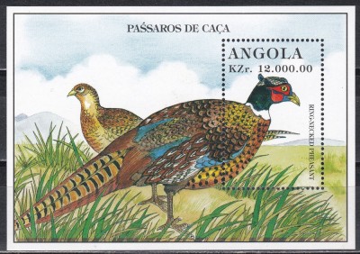 Angola 1996 - Păsări, Colita, MNH foto