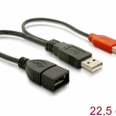 Cablu USB 2.0 in Y date + alimentare 22cm, Delock 65306