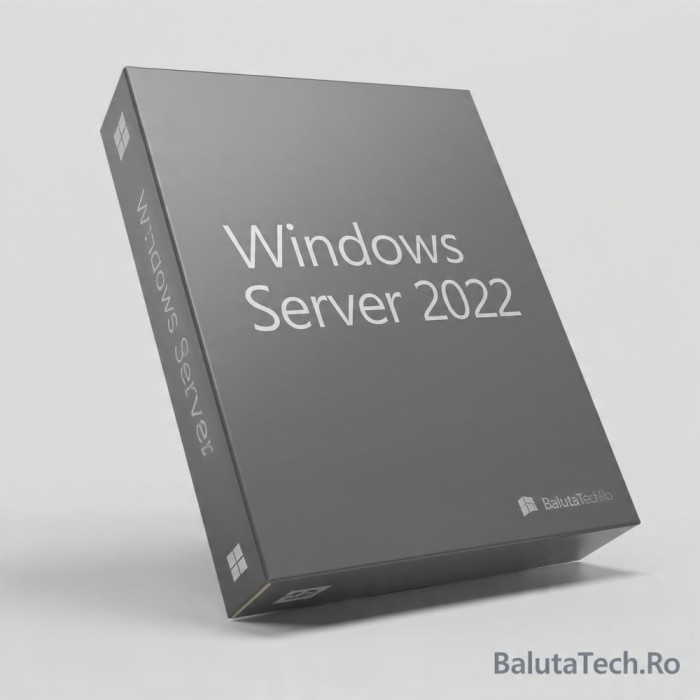 Licență Windows Server 2022 Standard