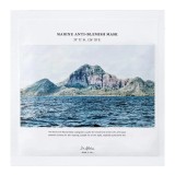 Masca de fata Marine Anti-Blemish, 27 g, Dr. Althea