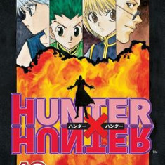 Hunter X Hunter, Volume 10