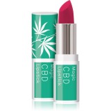 Dermacol Cannabis Magic CBD balsam ph auto-colorant de buze culoare 08 3.5 ml