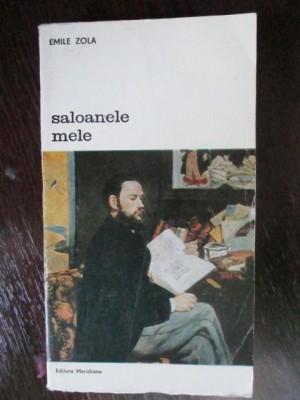 Saloanele mele-Emile Zola foto