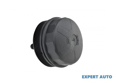 Capac suport filtru ulei BMW X5 (2007-&amp;gt;) [E70] #1 foto