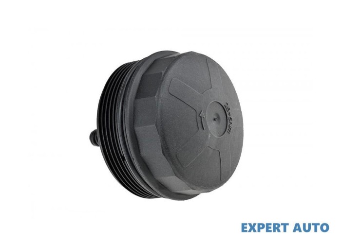 Capac suport filtru ulei BMW X5 (2007-&gt;) [E70] #1