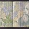 ROMANIA - 10000 LEI - 2000