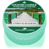 Cumpara ieftin Country Candle Citrus &amp; Seagrass lum&acirc;nare 42 g