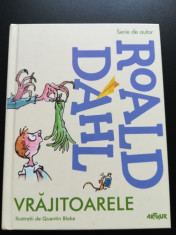 Roald Dahl - Vrajitoarele foto