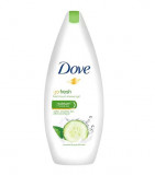 Gel de dus Dove FreshTouch 250ml