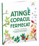 Cumpara ieftin Atinge Copacul Fermecat, Christie Matheson - Editura Gama