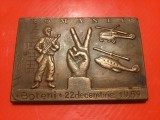 Placheta comemorativa din bronz dedicata evenimentelor din 22 decembrie 1989 de la Boteni !