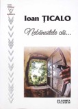 Nebanuitele Cai... - Ioan Ticalo, Editura Junimea, 2019, Roman, Beletristica, 222 Pagini