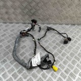 Cablaj ușă dreapta față PORSCHE PANAMERA 970 2010 OEM: 97062271500 31055637