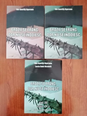 Ion Gavrilă Ogoranu, Brazii se fr&amp;acirc;ng, dar nu se &amp;icirc;ndoiesc, Vol. I, II și III, ediția a II-a foto