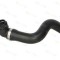 Furtun radiator FIAT PRATICO platou / sasiu (263) (2010 - 2016) THERMOTEC DWF136TT