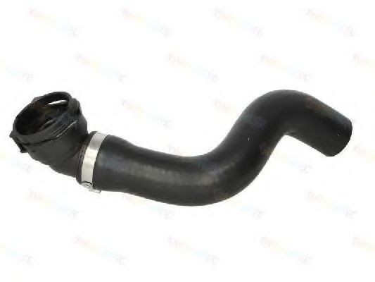 Furtun radiator FIAT DOBLO Combi (263) (2010 - 2016) THERMOTEC DWF136TT