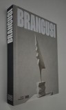 Album de arta Constantin Brancusi L 'art ne fait que commencer Ariane Coulondre Centre Pompidou Carte in limba franceza