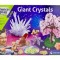 Set-Stiintific-Giant-Crystals-Clementoni-Science-and-Play-8+