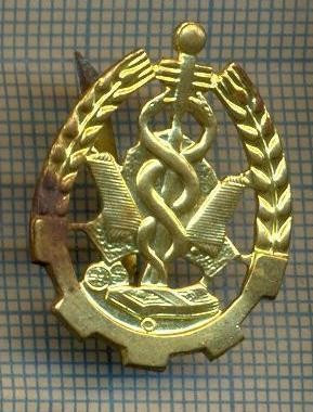 Y 1820 INSIGNA - MILITARA -SEMN DE ARMA - INTENDENTA -PENTRU COLECTIONARI foto