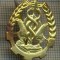 Y 1820 INSIGNA - MILITARA -SEMN DE ARMA - INTENDENTA -PENTRU COLECTIONARI