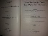 P. HILLMANN - TRAVAUX.. D&#039;AGRICULTURE -L&#039; AMELIORATION DES PLANTES... {1911}