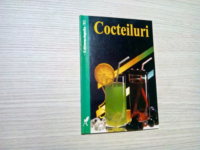 COCTEILURI - Elisabeth Meyer zu Stieghorst - Editura Aquila, 2005, 63 p. foto