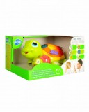 Set Broscute Testoase Interactive - Lumini si Sunete, Hola