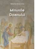 Minunile Domnului - Serafim Papacosta