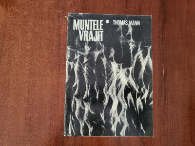 Muntele vrajit de Thomas Mann foto