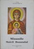 Minunile Maicii Domnului - Protos. Nicodim Mandita, Editura Bunavestire 1996, Carte Religioasa Crestinism