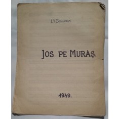 JOS PE MURAS - I.V. BORGOVAN, PARTITURA SI TEXT