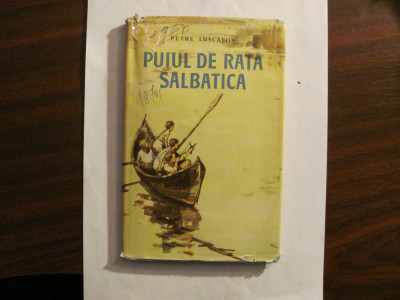 AF - P LUSCALOV &amp;quot;Puiul de Rata Salbatica&amp;quot; / Ilustratii Iura (Iurie) Darie / 1961 foto