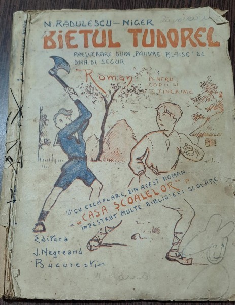 BIETUL TUDOREL - N. RADULESCU NIGER